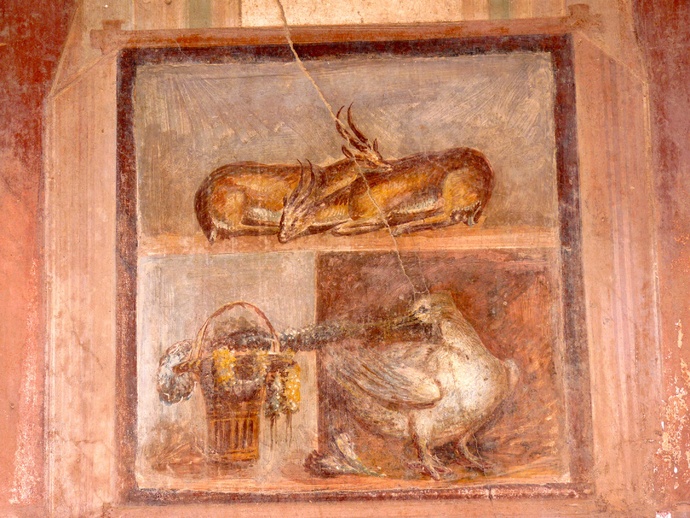 Casa Dei Dioscuri Antelopes and Still Life in Situ North Wall