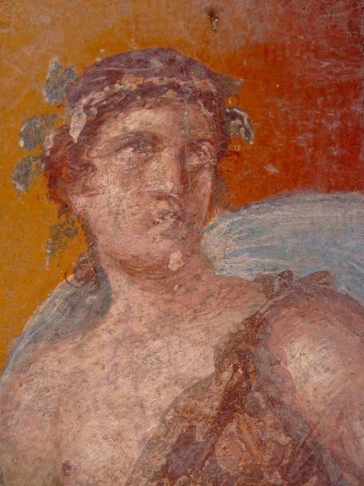Casa Dei Dioscuri Maenad (in Situ North Wall) 2