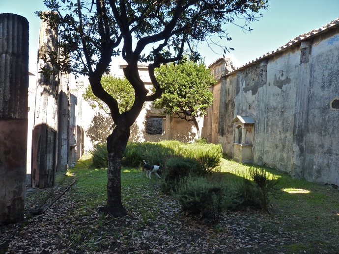 Casa Dei Dioscursi 7