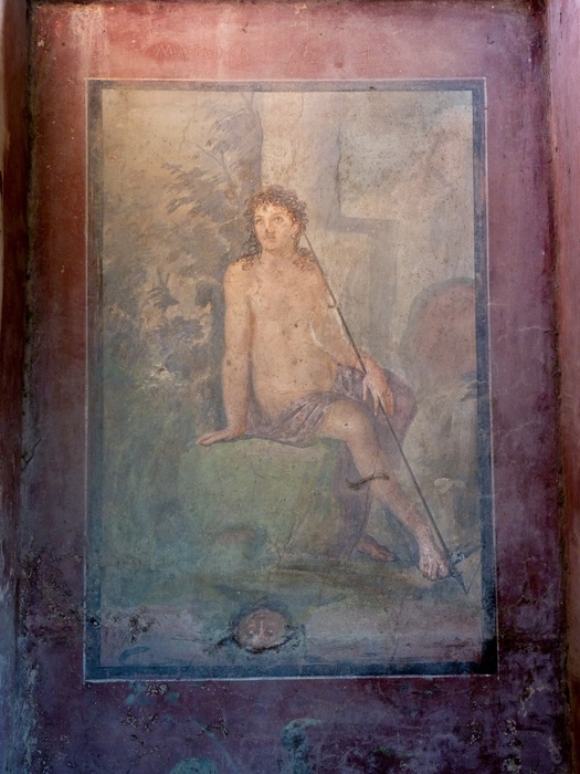 Casa di Octavius Quartio 02