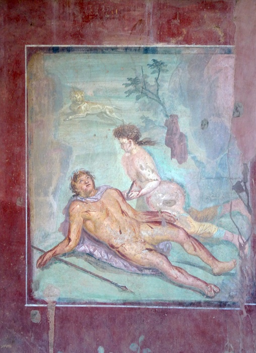 Casa di Octavius Quartio 2