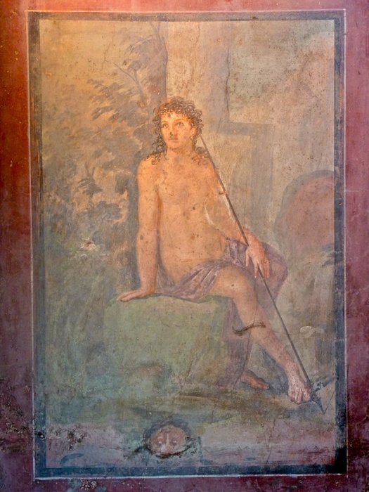 Casa di Octavius Quartio 5