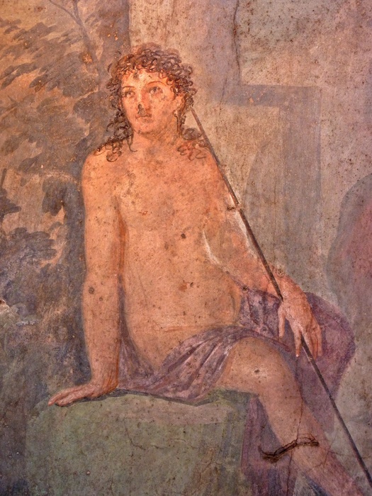 Casa di Octavius Quartio