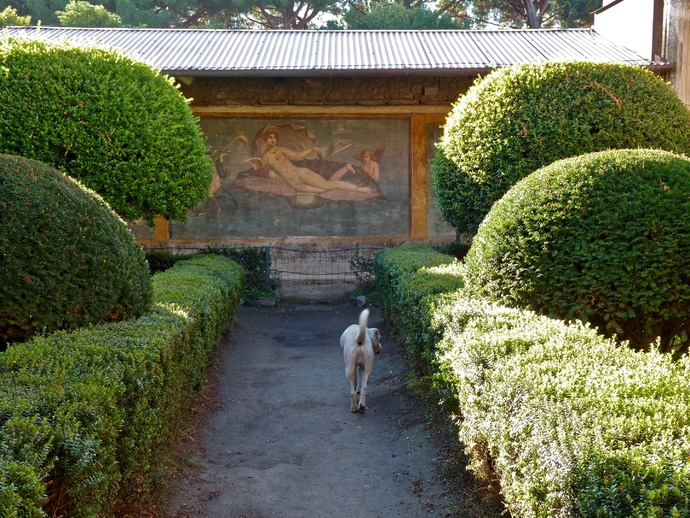 Casa di Venere & Dog