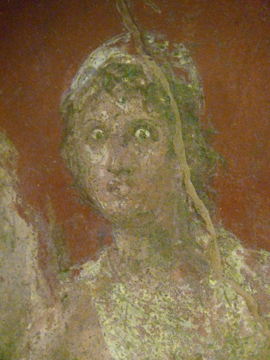 Castor Casa Dei Dioscursi 2