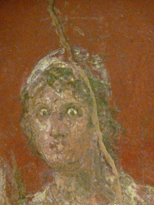 Castor Casa Dei Dioscursi 5