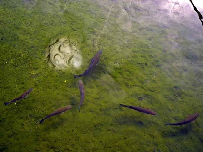 Grotto Water 01