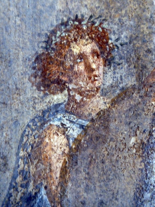 Rape of Europa Thermopolio 12