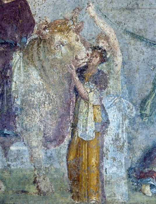 Rape of Europa Thermopolio 3