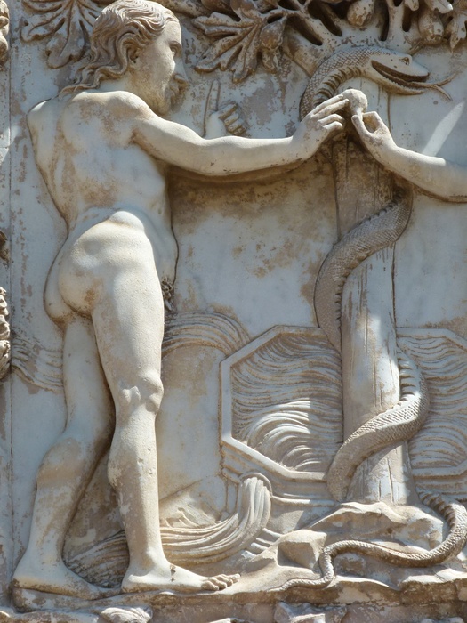 Serpent Knowledge the Fall 2