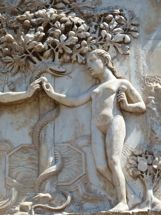 Serpent Knowledge the Fall 6