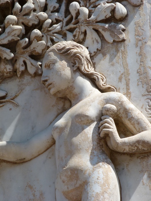 Serpent Knowledge the Fall 7