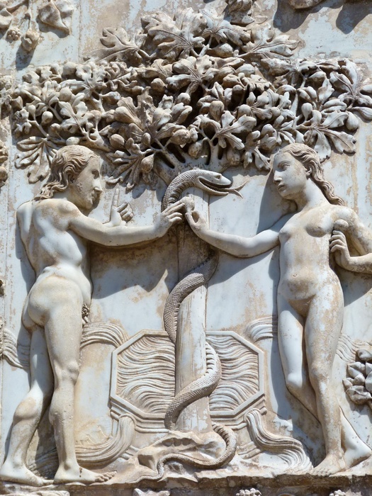 Serpent Knowledge the Fall 9