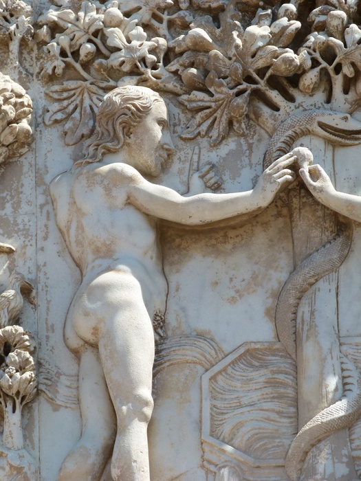 Serpent Knowledge the Fall