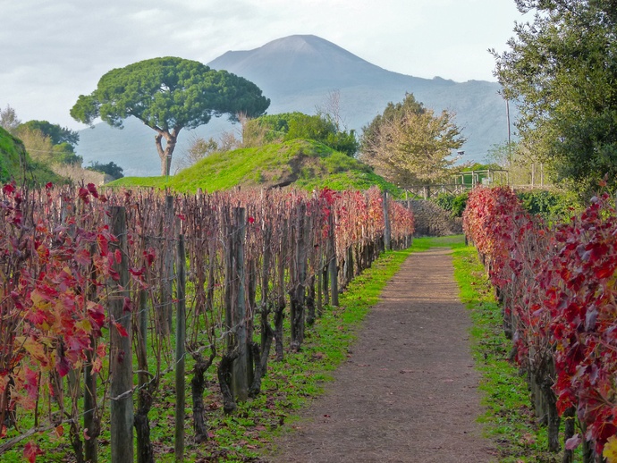 Vesuvius View from Pompeii 2