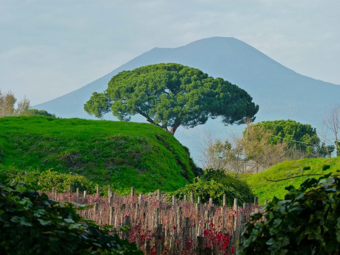 Vesuvius View from Pompeii