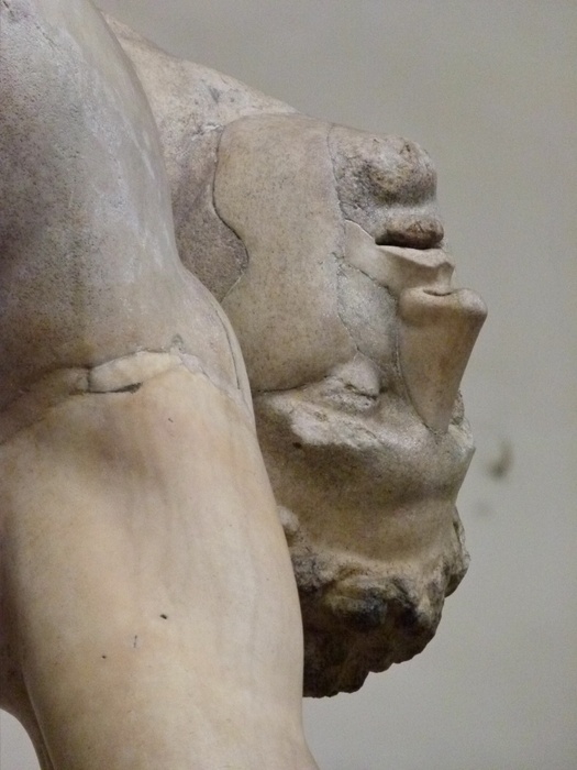 Ajax with the Body of Achilles 14