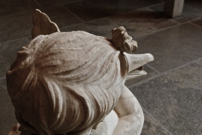 Boy with a Goose 220 bc 5