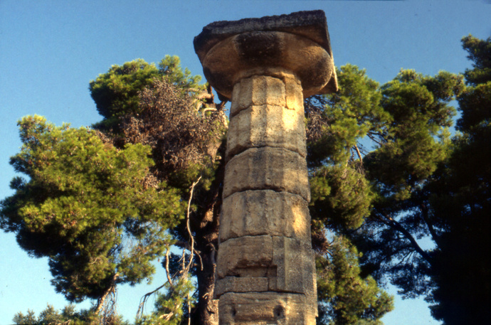 Doric Column the Temple of Hera