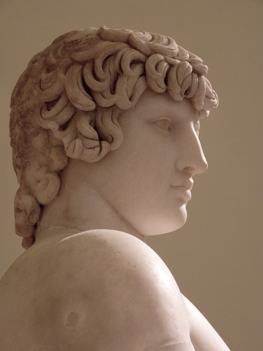 Farnese Antinous 20