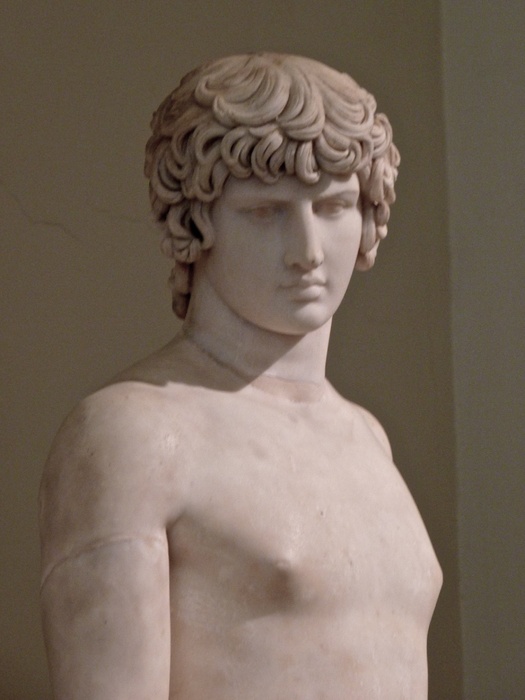 Farnese Antinous 23
