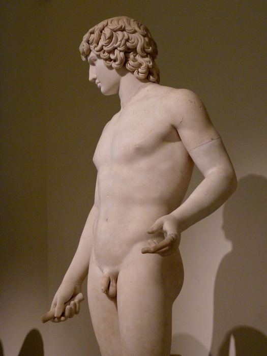 Farnese Antinous 26
