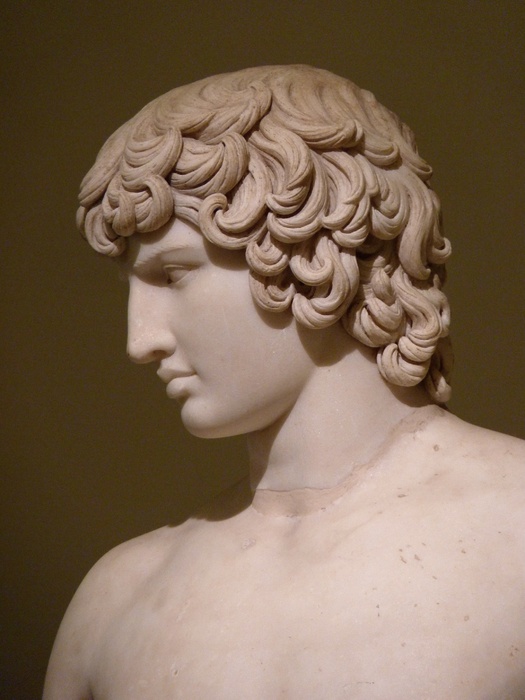 Farnese Antinous 3