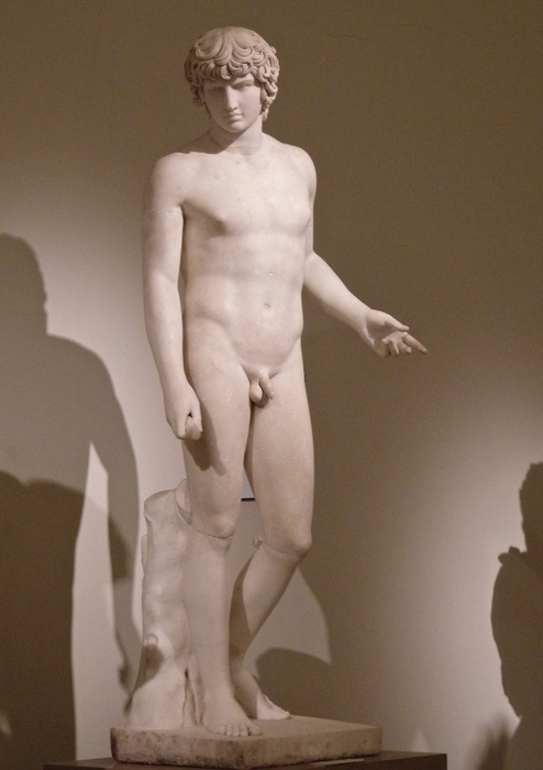 Farnese Antinous 6