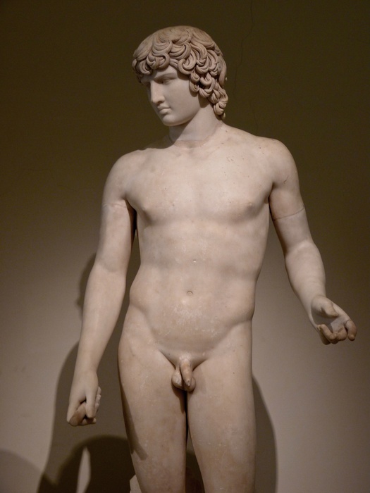 Farnese Antinous 8