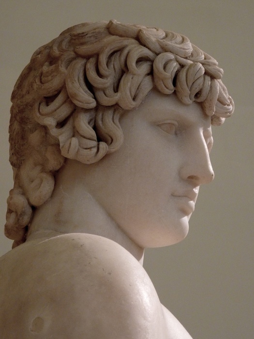Farnese Antinous 9