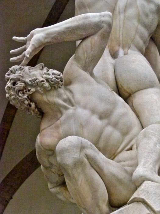 Giambologna\\\'s Rape of the Sabine Women 12