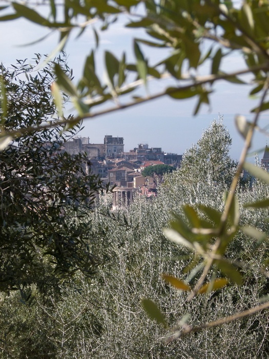 Rondino Tivoli Classical Structures