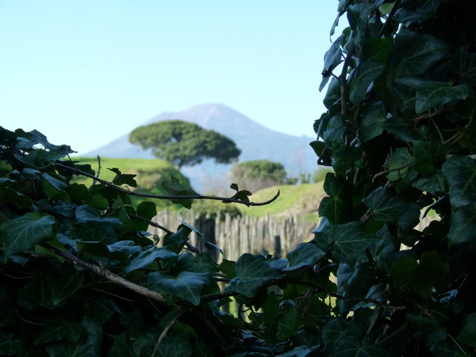 The Vinyard & Vesuvius