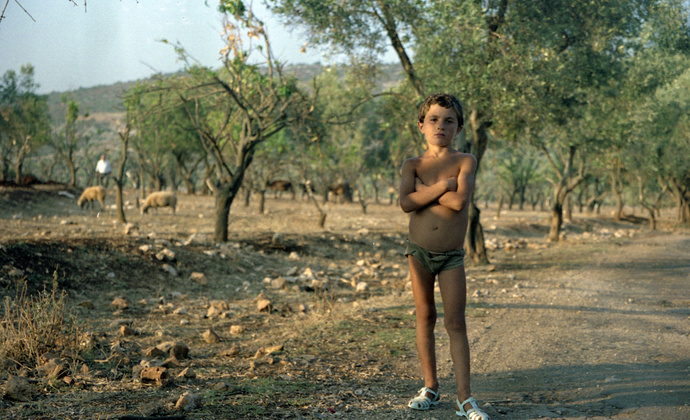 Albanian Shepherd Boy