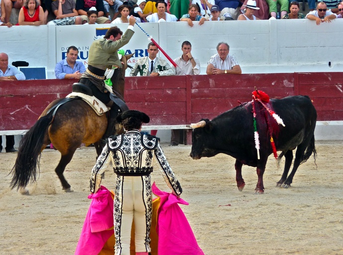 Andy Cartagena\\\'s Bull Estocada