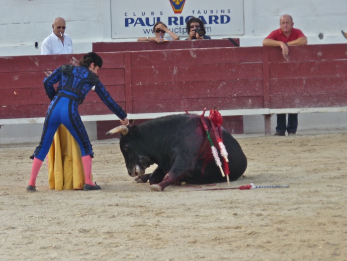 Andy Cartagena\\\'s Bull Fallen 2