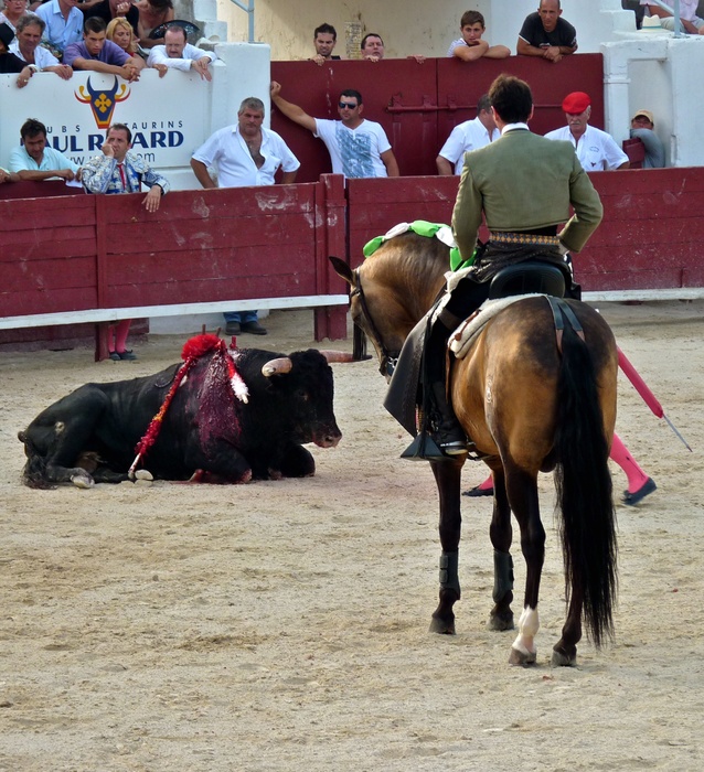 Andy Cartagena\\\'s Bull Fallen 3