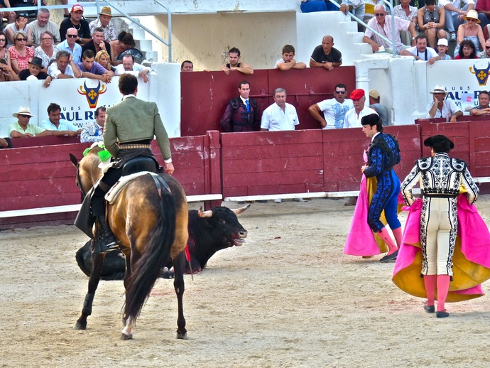 Andy Cartagena\\\'s Bull Falls Again 2