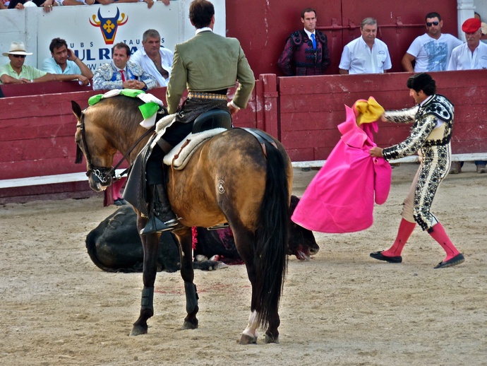 Andy Cartagena\\\'s Bull Falls Again