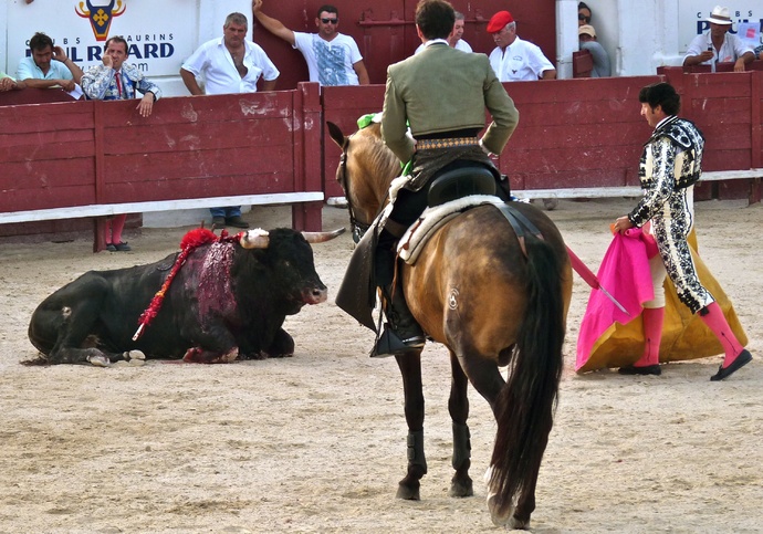 Andy Cartagena\\\'s Bull Falls