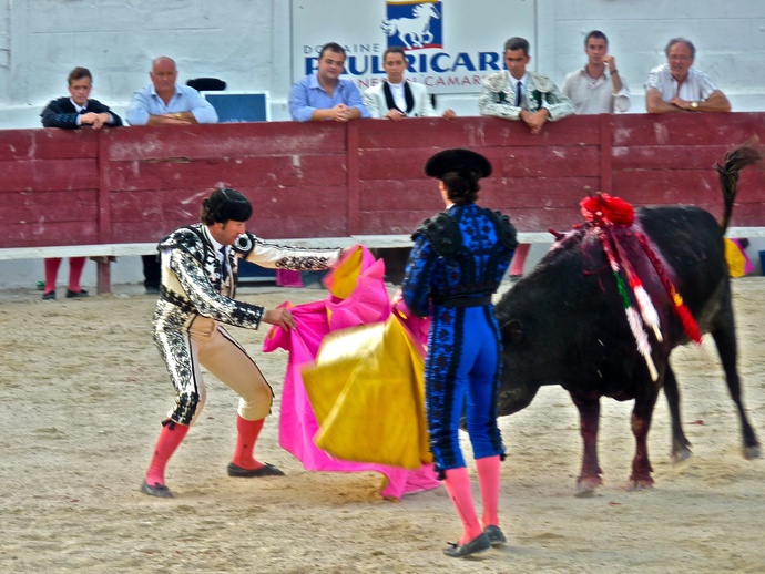 Andy Cartagena\\\'s Bull up 2