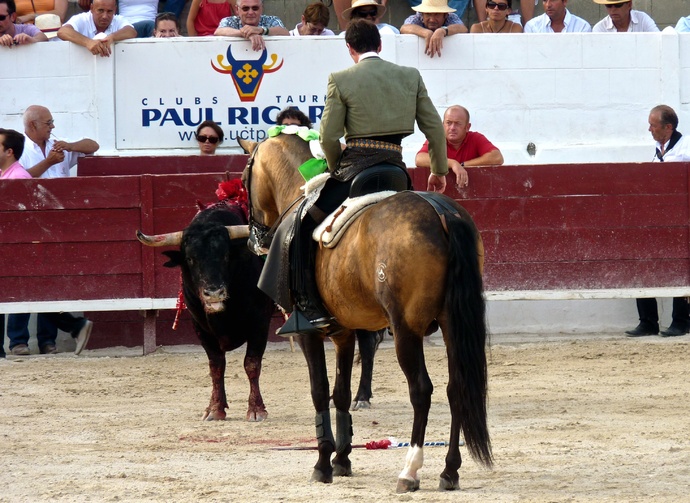 Andy Cartagena\\\'s Bull up 3