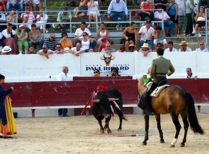 Andy Cartagena\\\'s Bull Up