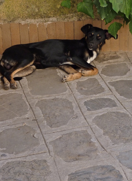 Bindo Hotel il Castello Castellabate