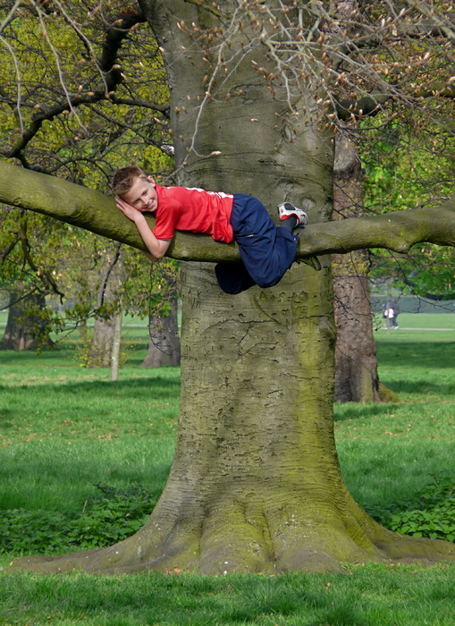 Boy in Tree