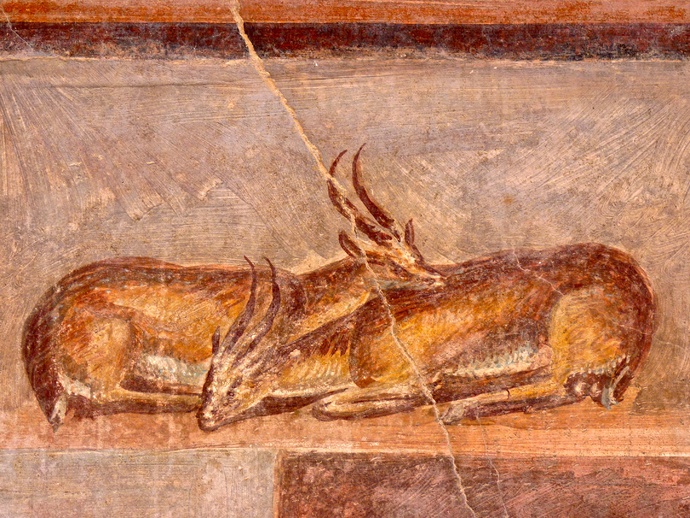 Casa Dei Dioscuri Antelopes and Still Life in Situ North Wall 3