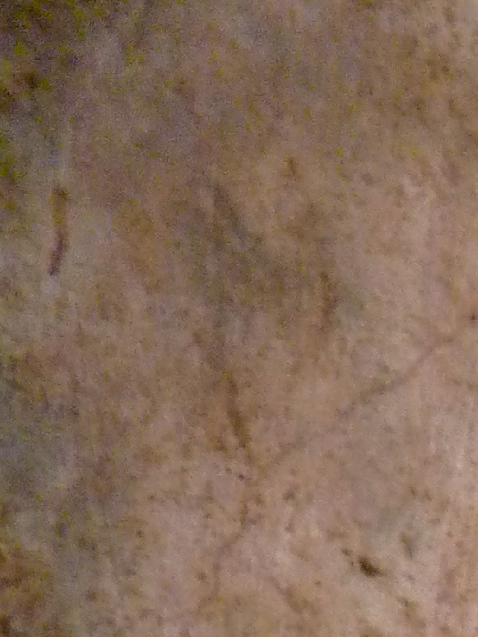 Casa Dei Dioscuri Perseus & Andromeda