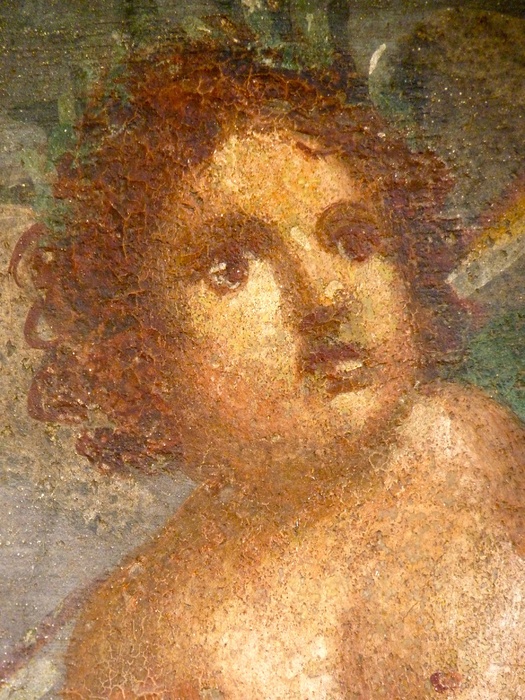 Casa Della Venere in Conchiglia 10