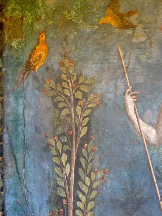 Casa Della Venere in Conchiglia 11