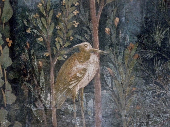 Casa Della Venere in Conchiglia 18